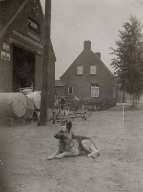 werkplaats_1956-rond